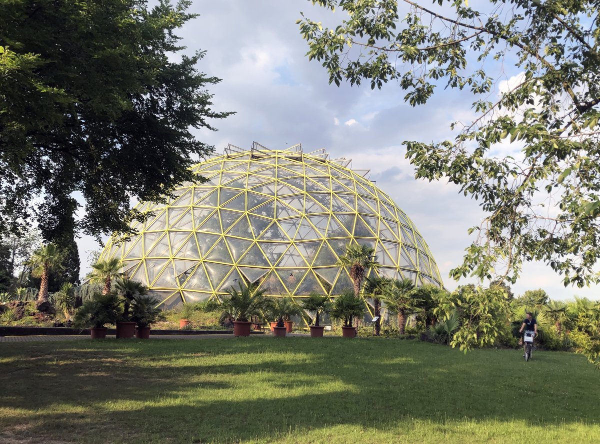 Botanischer Garten