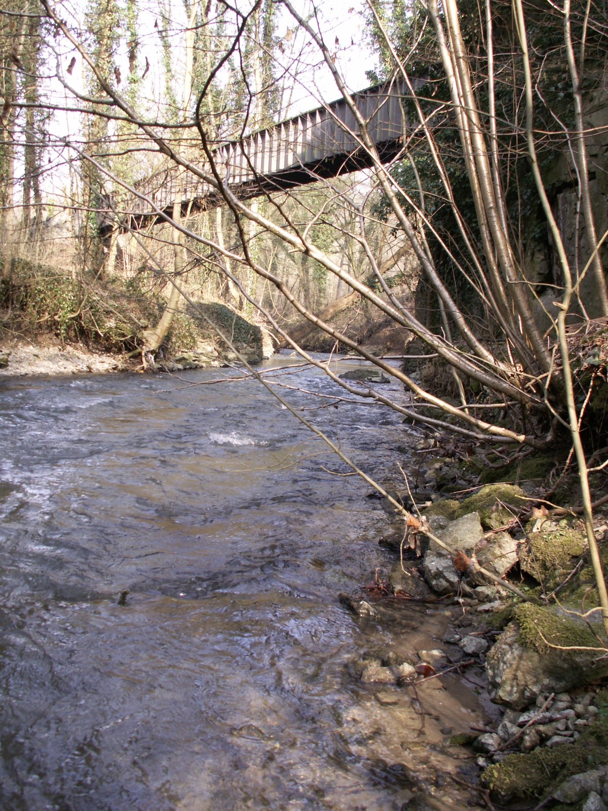 Düssel