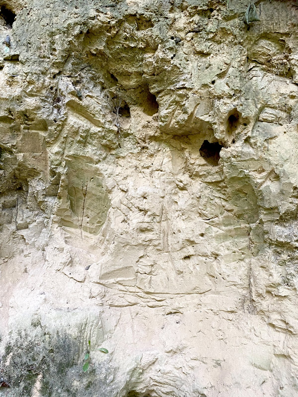Freigelegte Lößwand