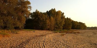 Himmelgeister Rheinbogen