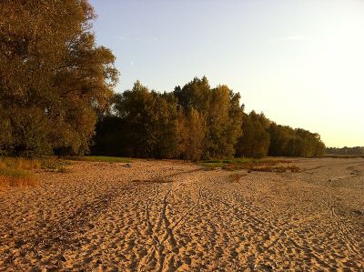 Himmelgeister Rheinbogen