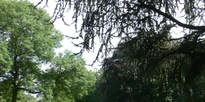 Hofgarten Park