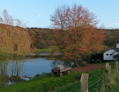 Morper Bachtal