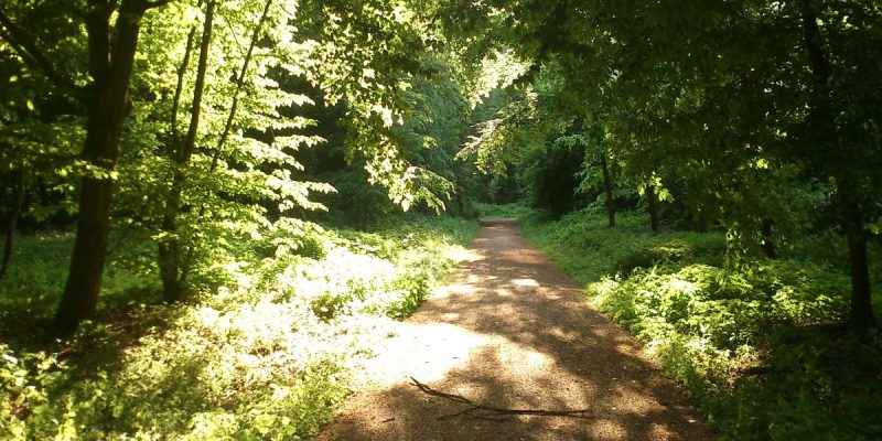 Schlosspark Benrath