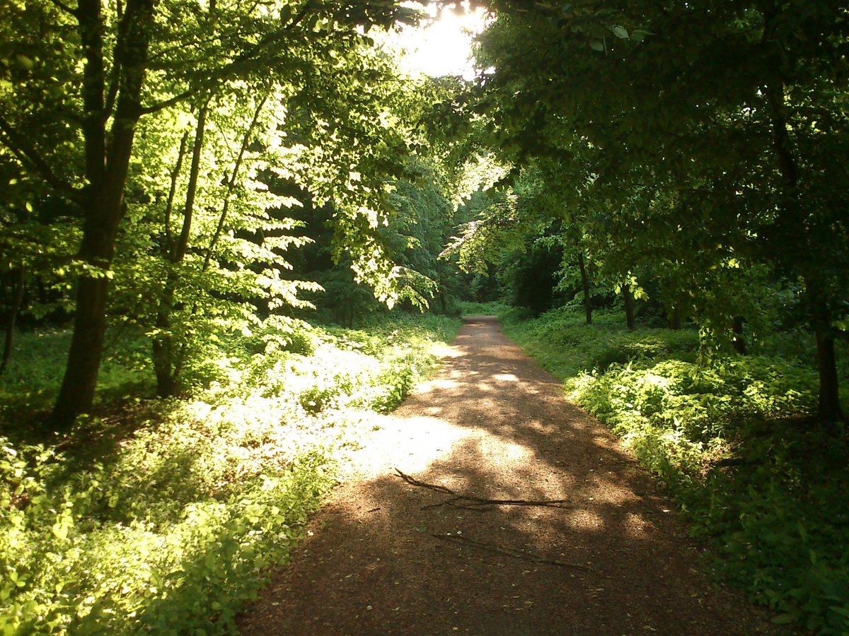 Schlosspark Benrath