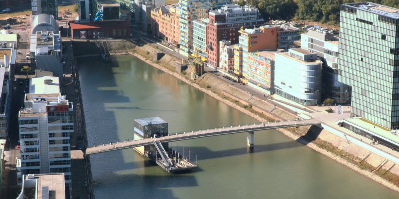 The Living Bridge