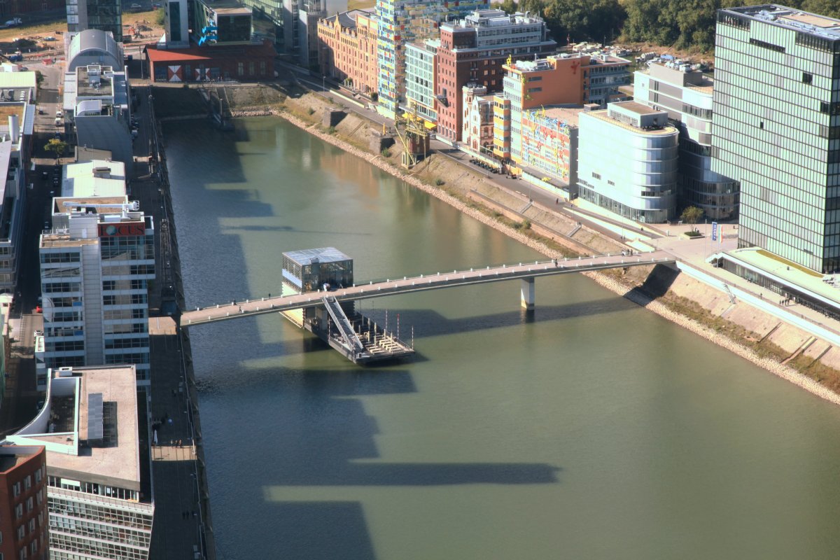 The Living Bridge