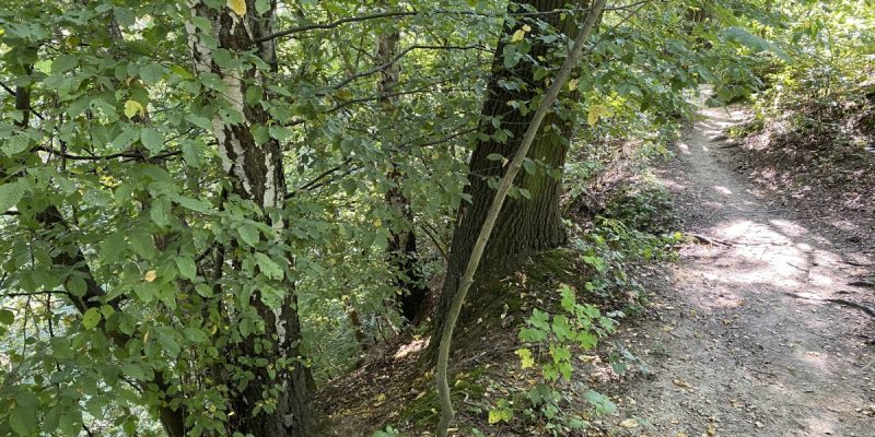Tongruben am Ratinger Weg