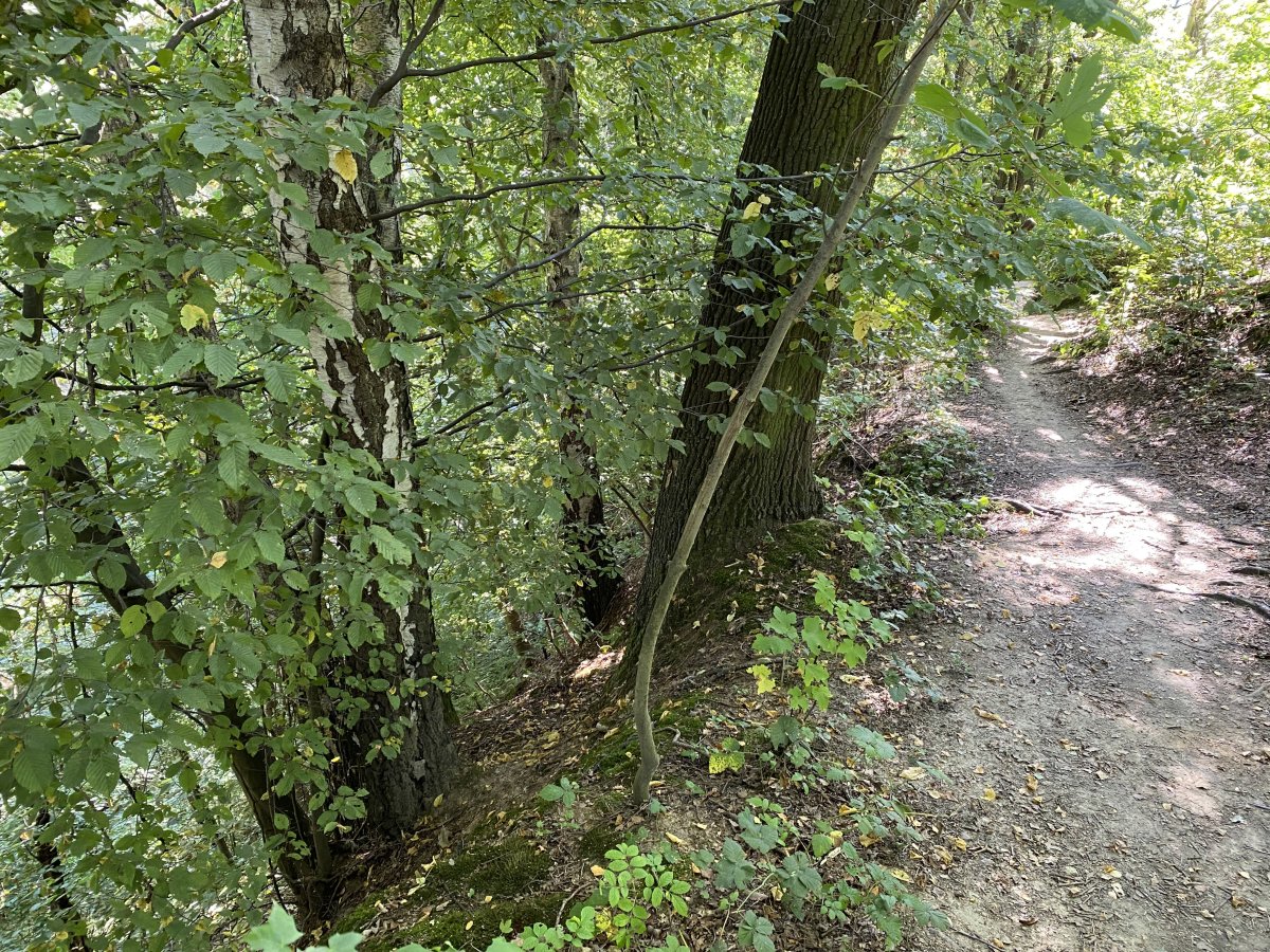 Tongruben am Ratinger Weg