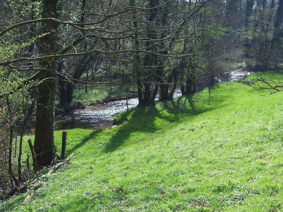 Angermündung