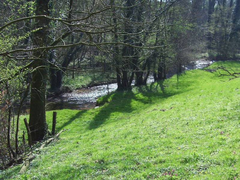 Angermündung