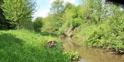 Aue des Alten Angerbaches am Altenbrucher Damm