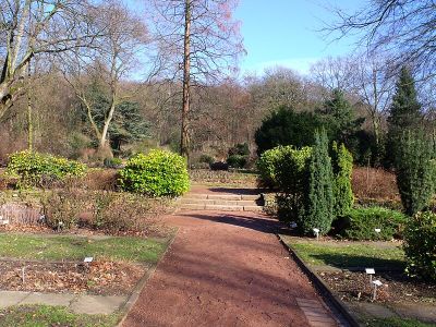 Botanischer Garten Duisburg Hamborn