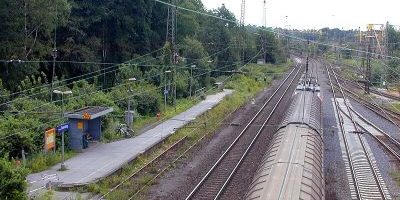 Duisburg Entenfang