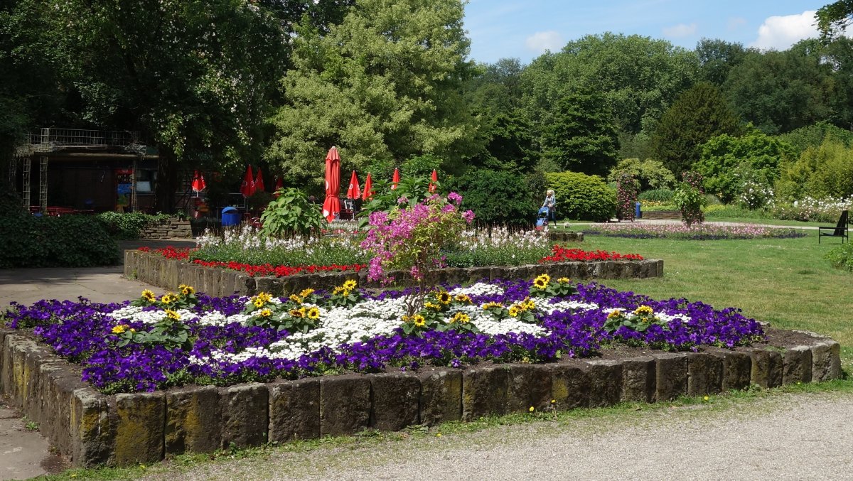 Jubiläumshain