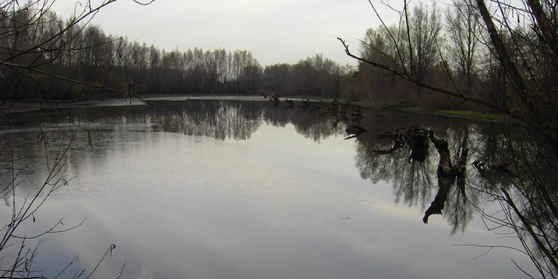 Rheinaue Walsum