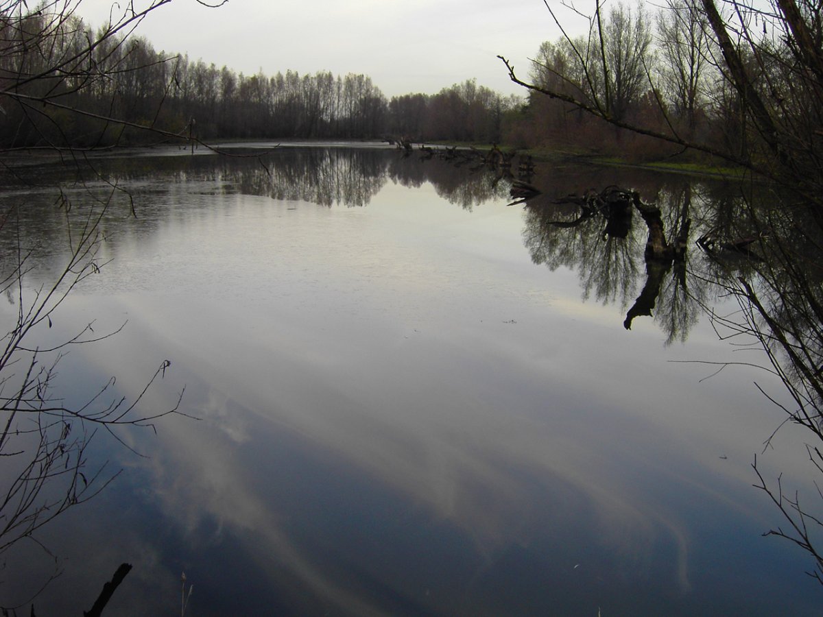 Rheinaue Walsum