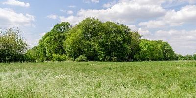 Schwafheimer Meer und Krähenbusch