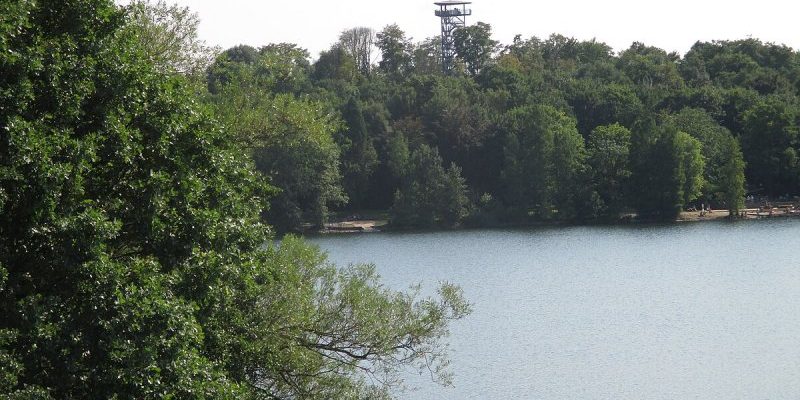 Wolfsberg
