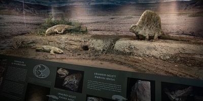 Naturkundemuseum