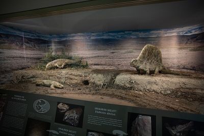 Naturkundemuseum