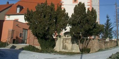 St. Nikolai