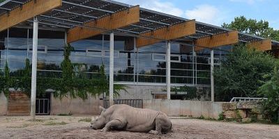 Thüringer Zoopark Erfurt