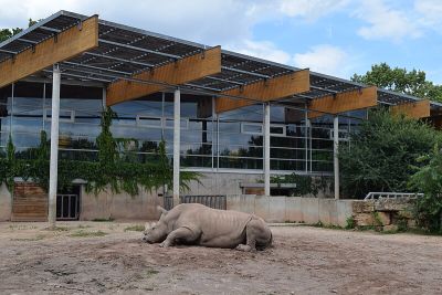 Thüringer Zoopark Erfurt