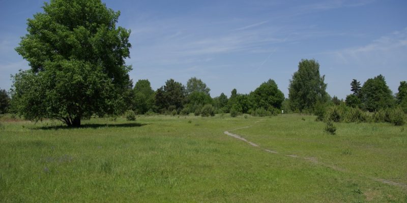 Exerzierplatz