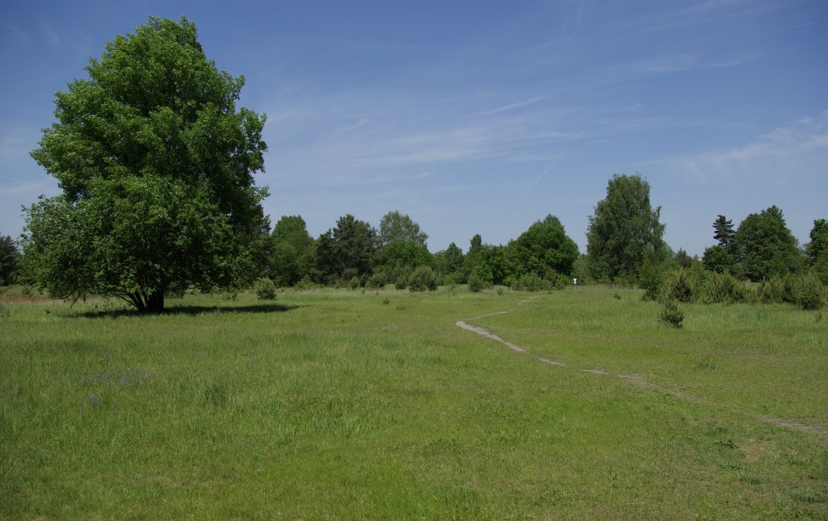 Exerzierplatz