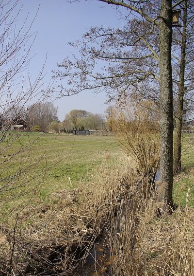 Hutgraben mit Winkelfeld und Wolfsmantel