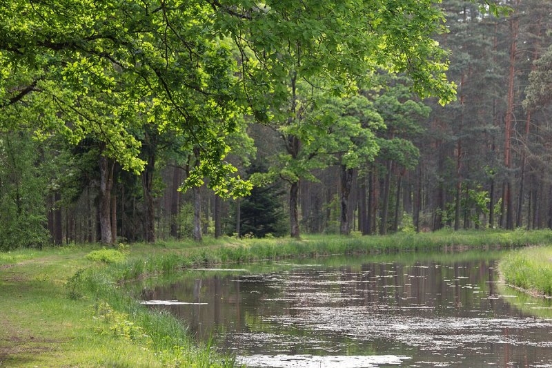 Ludwig Canal