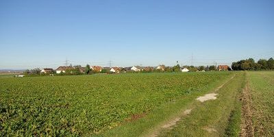 Steudach