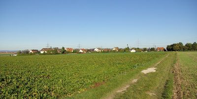 Steudach