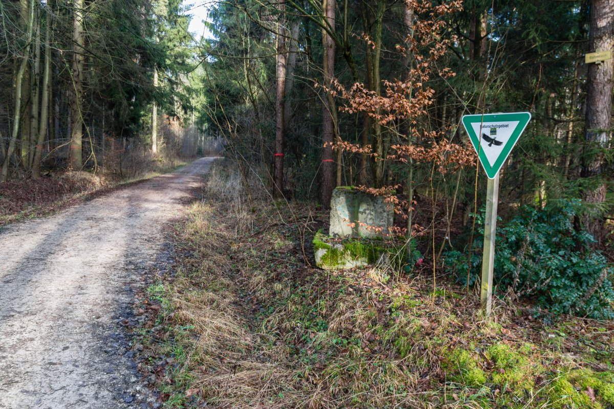 Tennenloher Forst