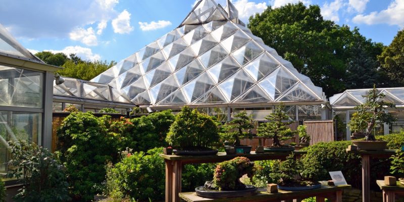 Botanischer Garten