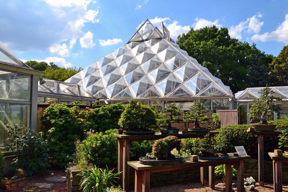 Botanischer Garten