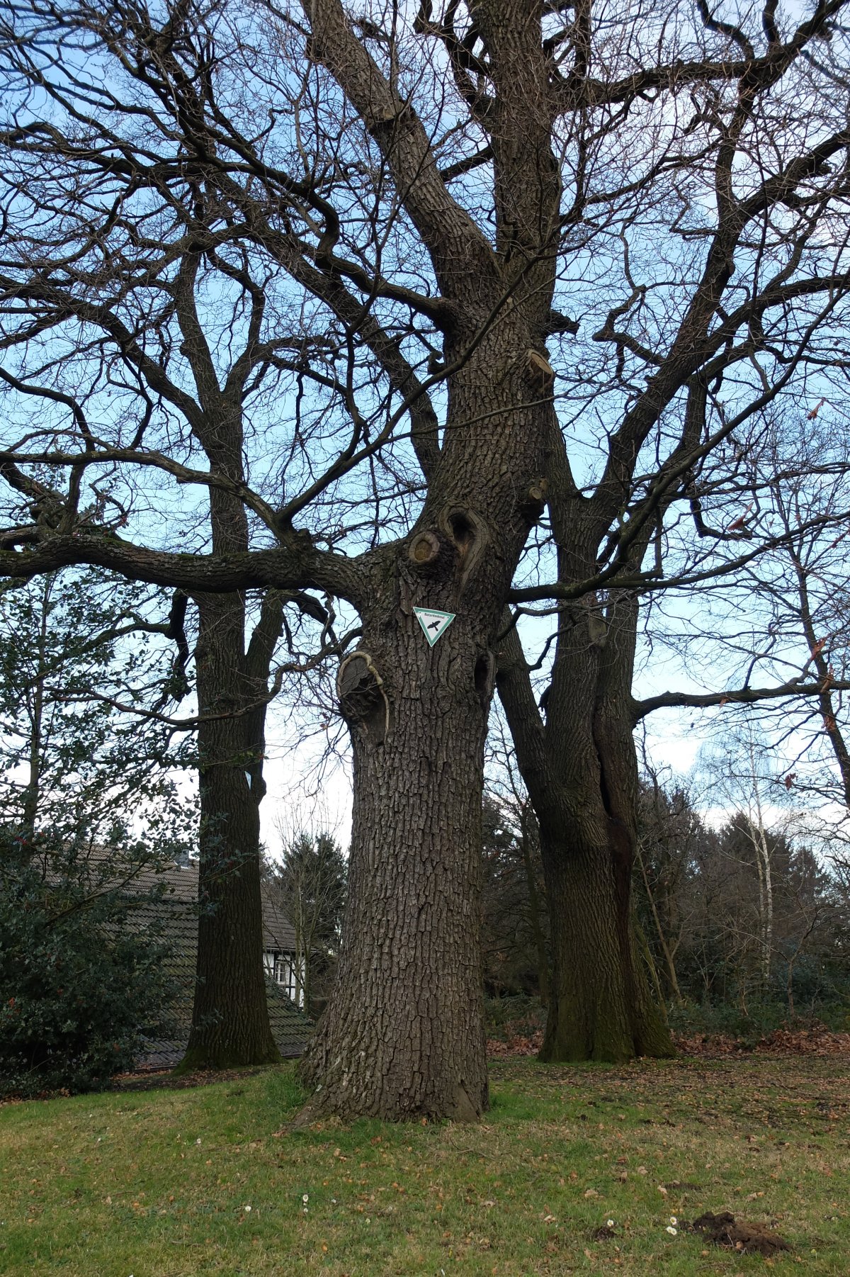 Fachwerkhaus (Düschenhofer Wald)