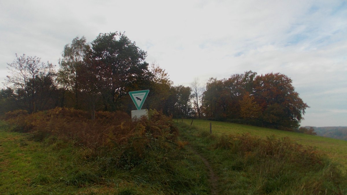 Fuchslochbachtal / Siepener Bachtal