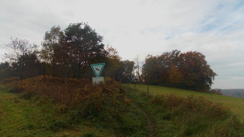 Fuchslochbachtal / Siepener Bachtal