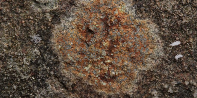 Geologisches Profil im Großraum Essen