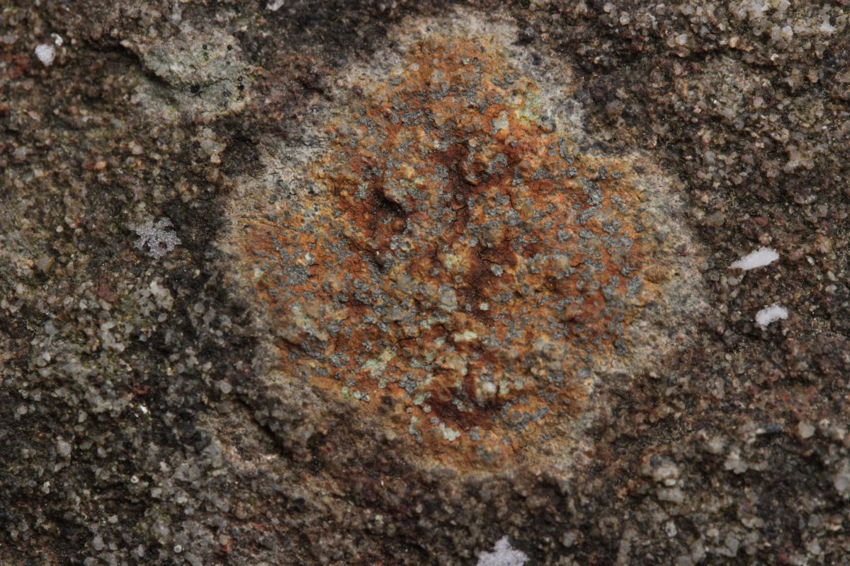 Geologisches Profil im Großraum Essen