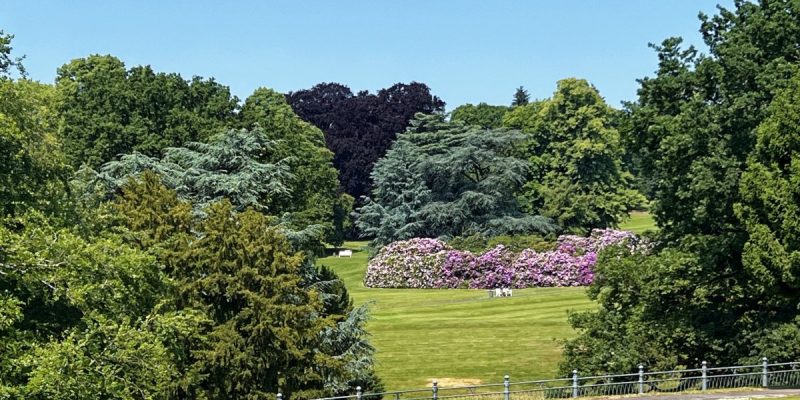 Hügelpark
