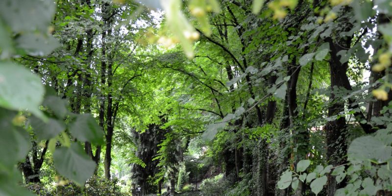 Jüdischer Friedhof (Hiltrops Kamp)