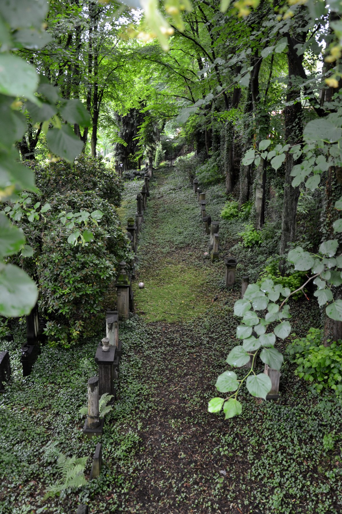Jüdischer Friedhof (Hiltrops Kamp)