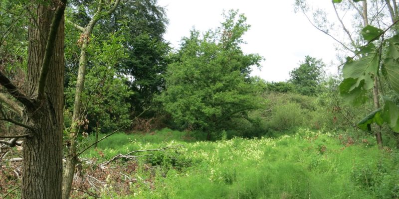 Kamptal