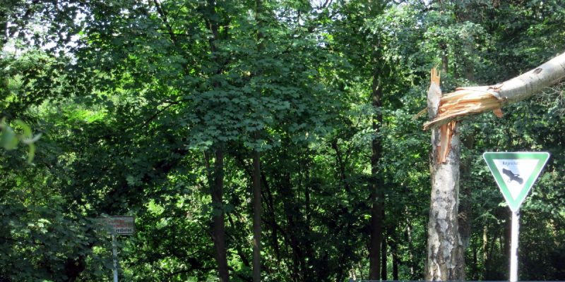 Naturschutzgebiet Ziegeleigelände Asey
