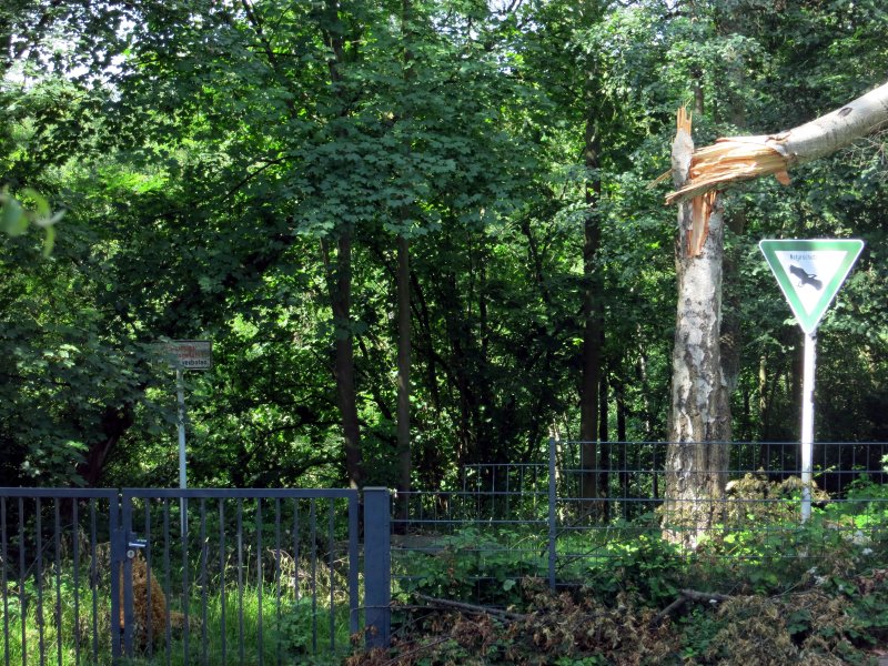 Naturschutzgebiet Ziegeleigelände Asey