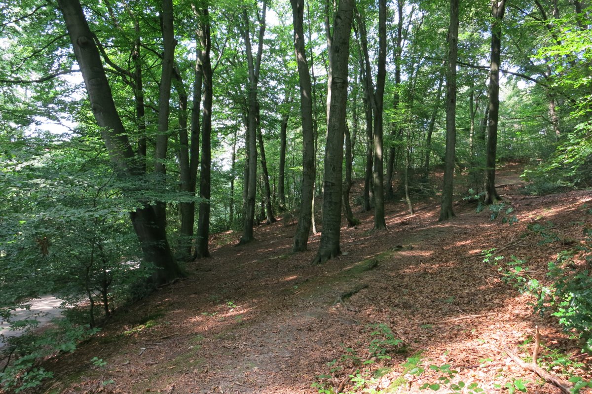 Naturschutzgebiet Asbachtal