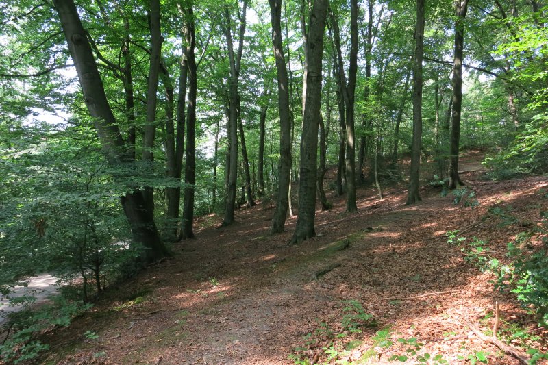 Naturschutzgebiet Asbachtal